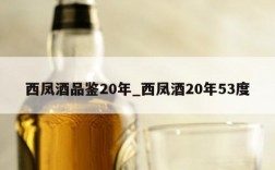 西凤酒品鉴20年_西凤酒20年53度