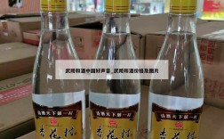 武陵和酒中国好声音_武陵和酒价格及图片
